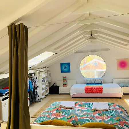 Dreamy Nature Getaway - Beachfront Olympus Retreat *