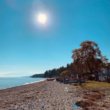 Dreamy Nature Getaway - Beachfront Olympus Retreat Ferienhaus *