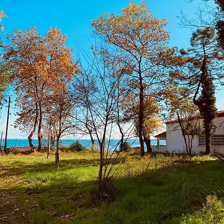 Holiday home Dreamy Nature Getaway - Beachfront Olympus Retreat Litochoro